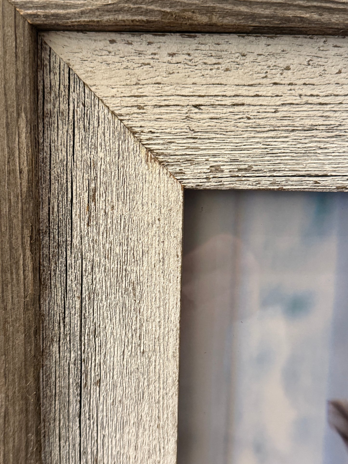 Hi there, Belgian Rooster | 2228