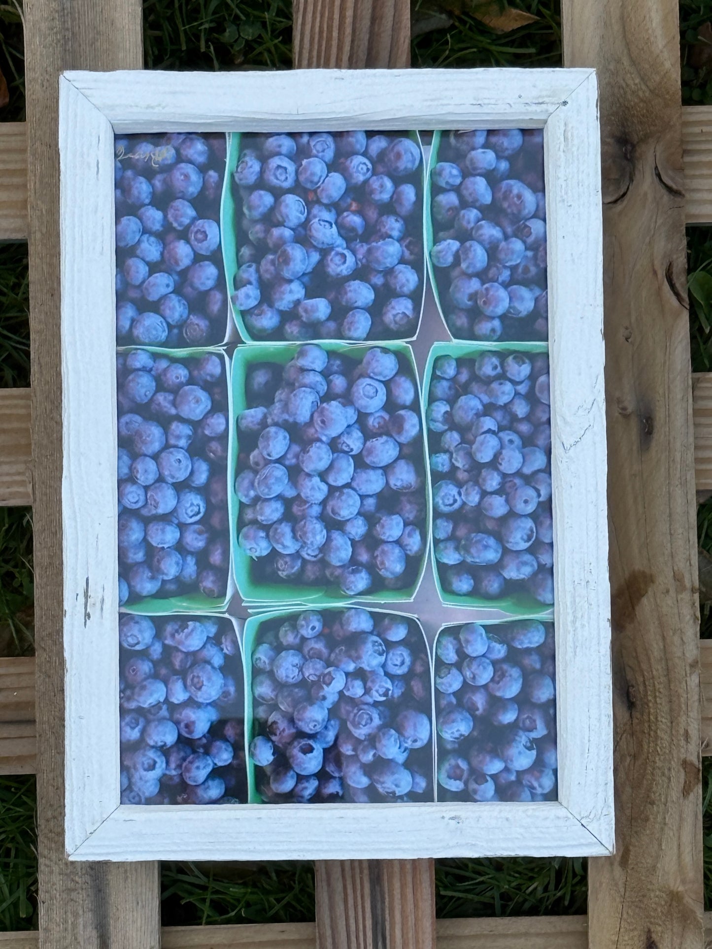 Farmers Market Blueberries | 7x10
