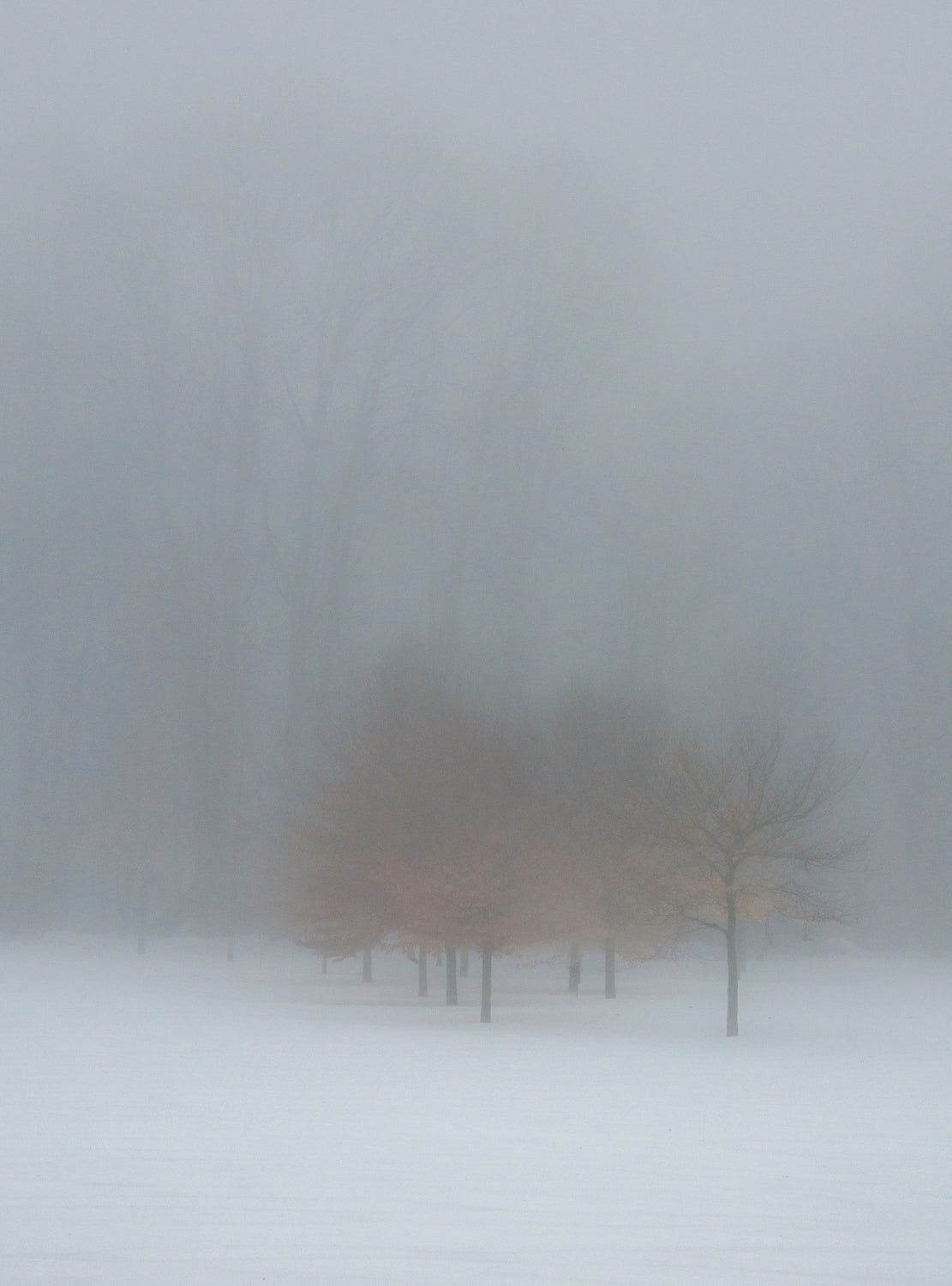 LABrown Photography Gift Card