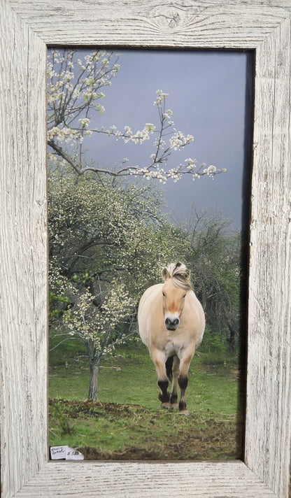 Running Horse | 13.5 x 23.5