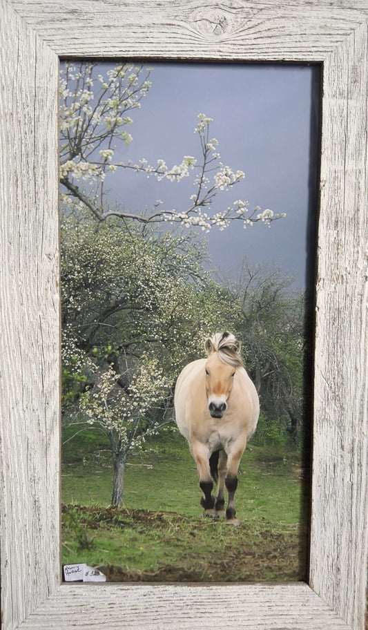 Running Horse | 13.5 x 23.5