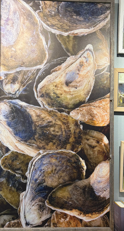 Oysters | 21x40