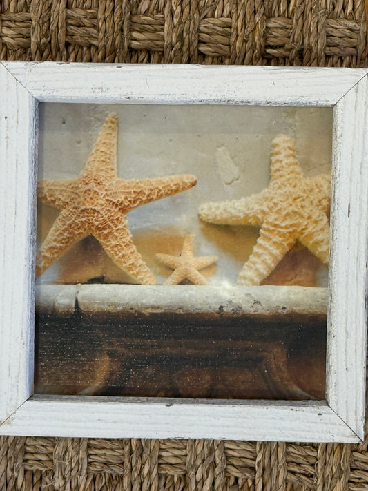 Happy Starfish | 6x6