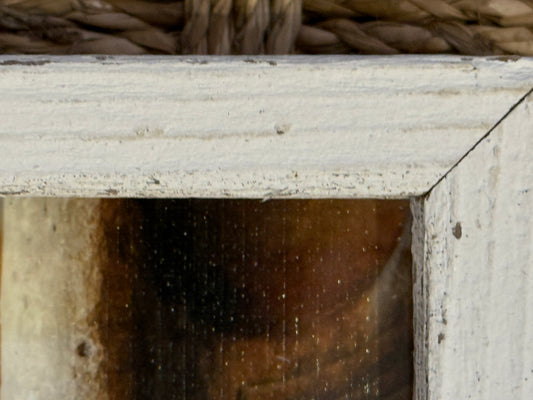 Happy Starfish | 6x6