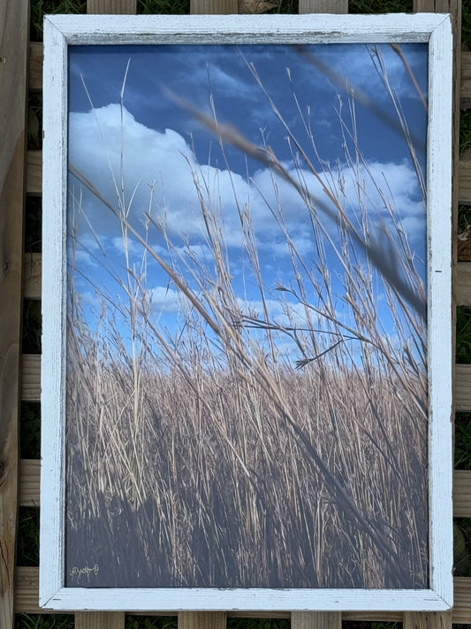 Blowing Grasses | 13x19