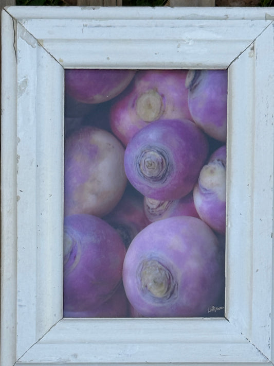 Rutabaga | 7x10