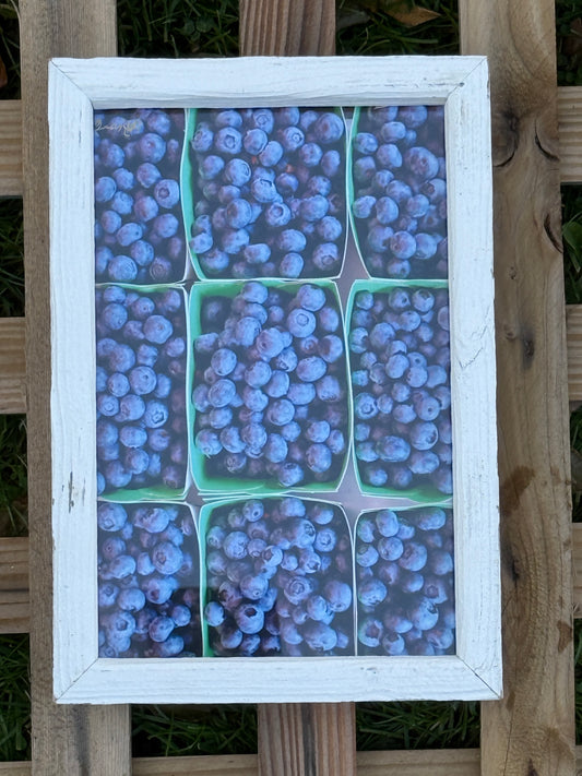 Farmers Market Blueberries | 7x10