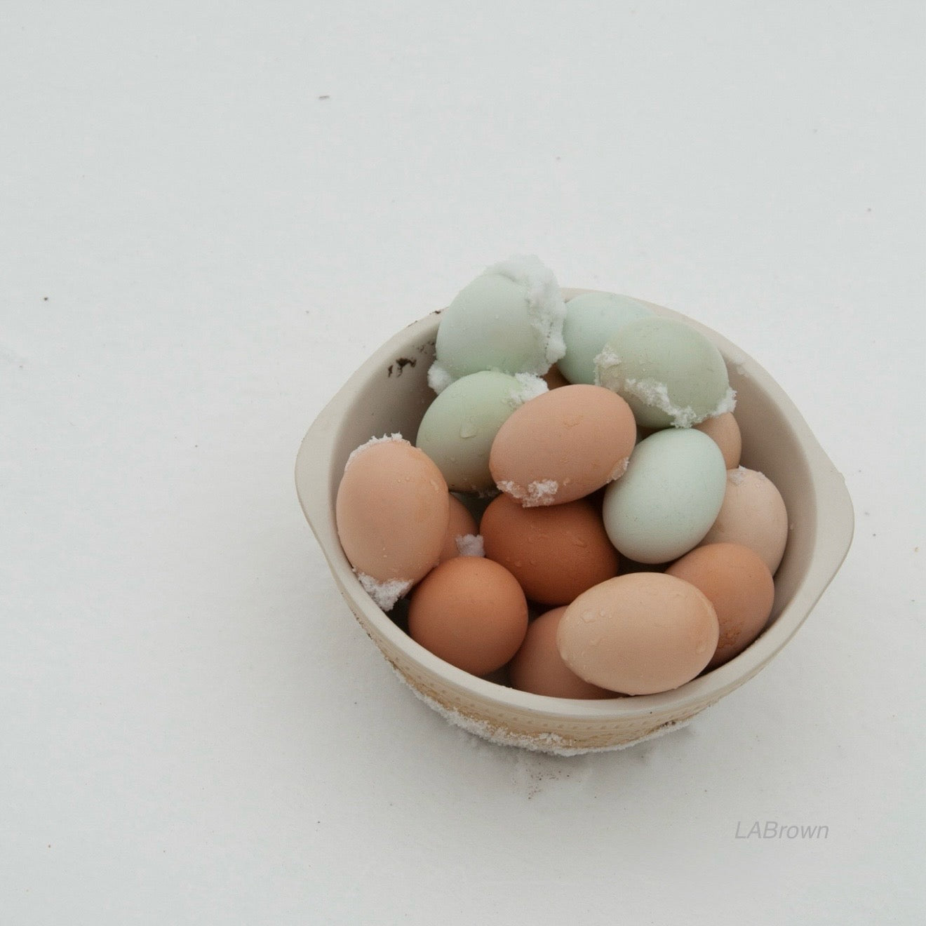 Eggs in Snow | 8.5 x 8.5